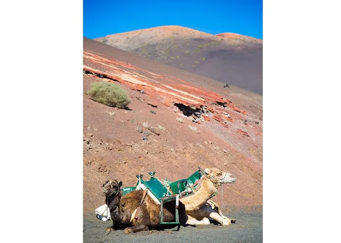 Alegranza Puerto del Carmen (Lanzarote)